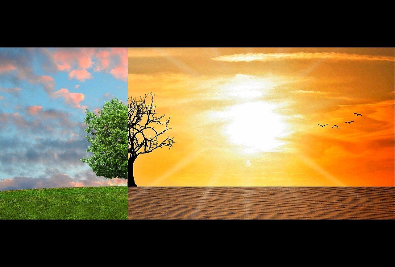 découvrez l'impact du changement climatique sur notre planète et les solutions pour atténuer ses effets. engagez-vous pour un avenir durable et apprenez comment vos actions peuvent contribuer à la préservation de notre environnement.