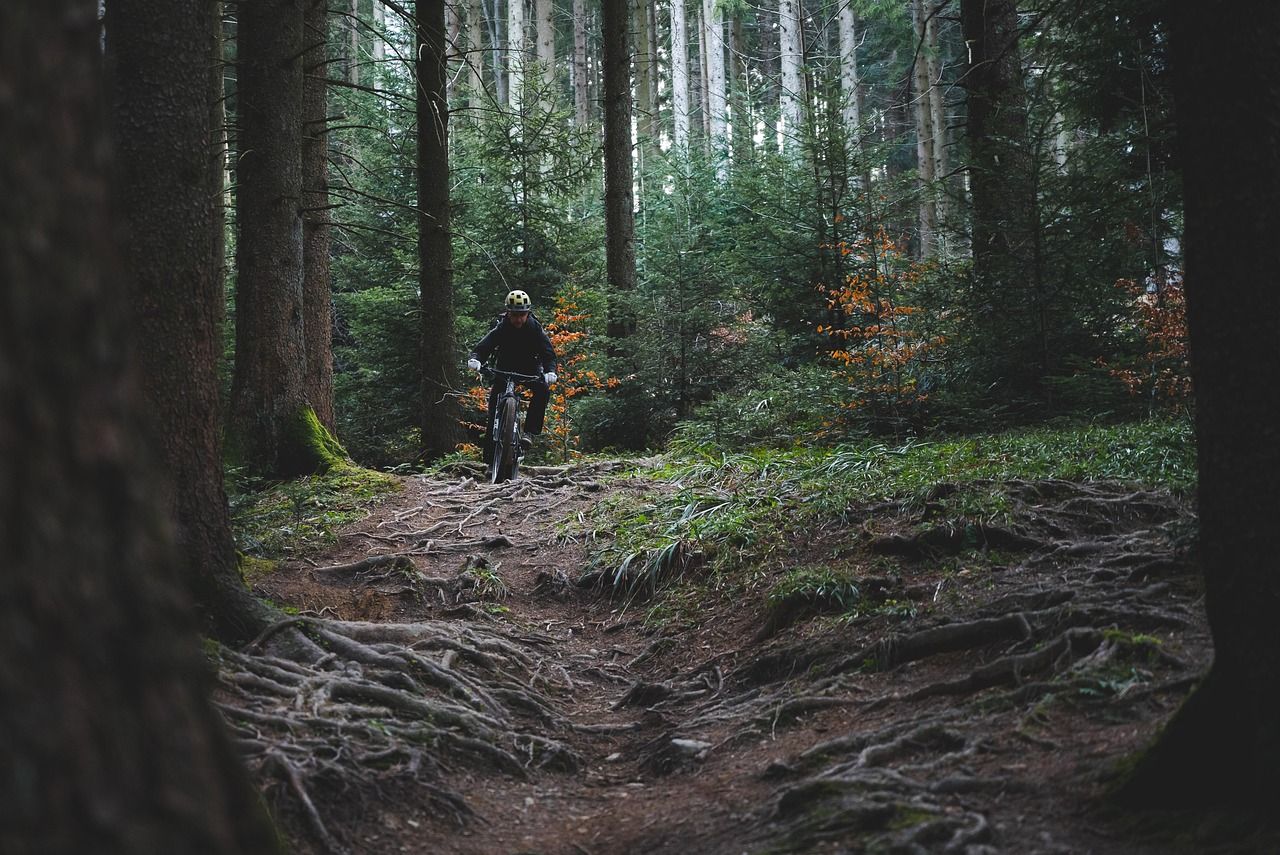 découvrez tout sur le cyclisme : conseils, équipements, itinéraires et astuces pour améliorer vos performances à vélo.