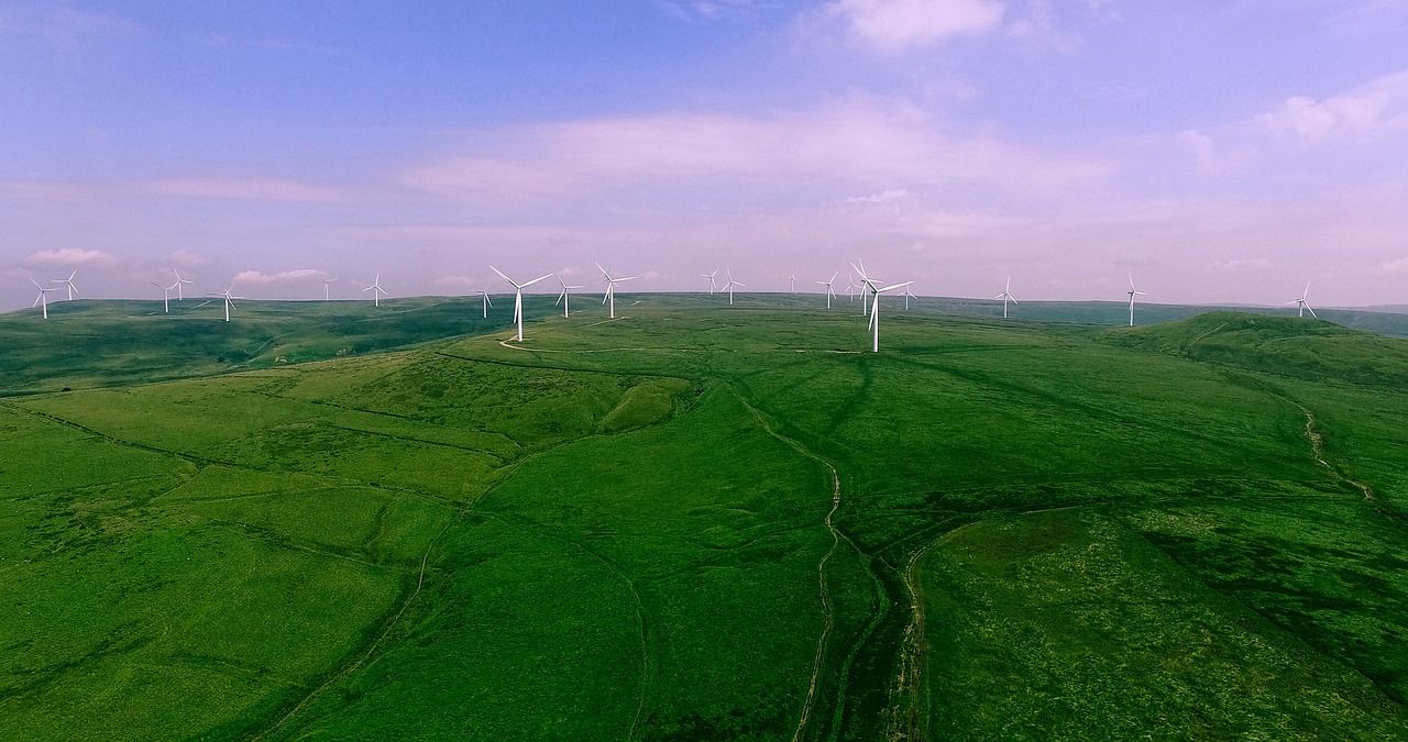 découvrez les dernières innovations écologiques qui transforment notre avenir. explorez des solutions durables et durables, allant des technologies renouvelables aux pratiques agricoles respectueuses de l'environnement, pour un monde plus vert.