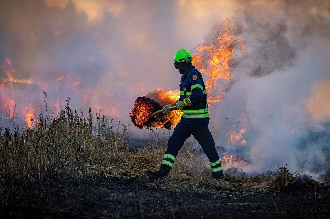 informations essentielles sur les feux de forêt : causes, prévention, impact environnemental et mesures de sécurité.