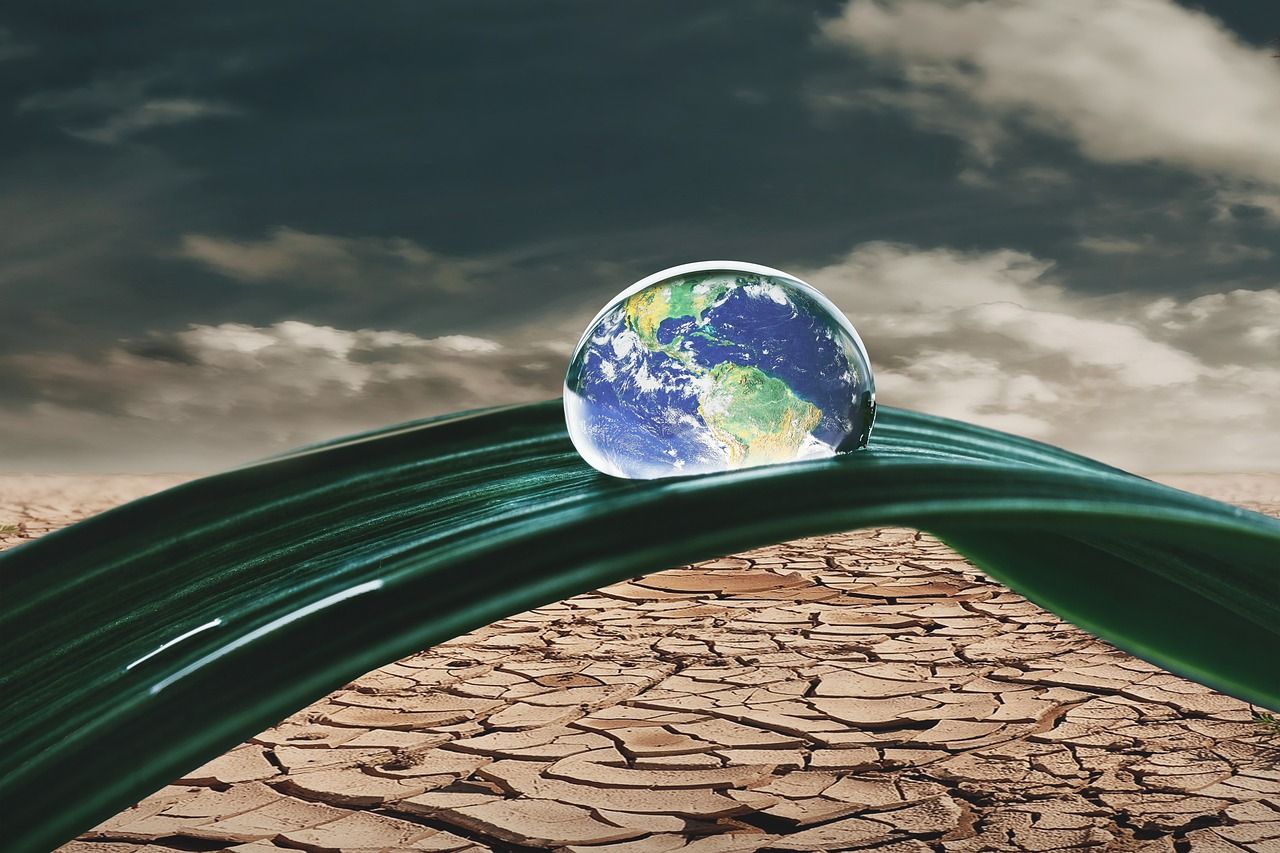 découvrez les impacts du changement climatique sur notre planète, les causes et les solutions possibles pour atténuer ses effets. informez-vous sur les actions à entreprendre pour un avenir durable.