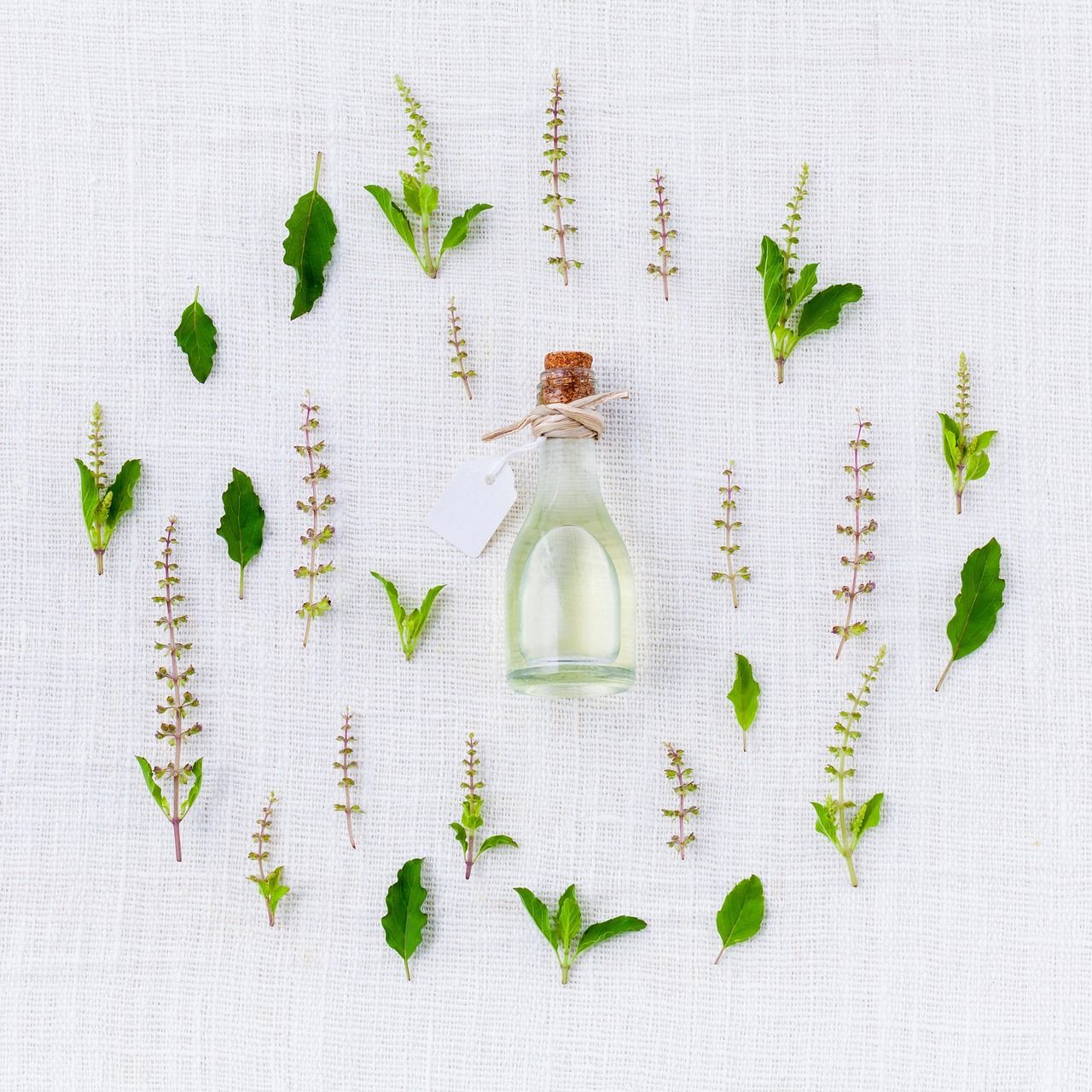 découvrez les éléments essentiels pour comprendre et agir face au changement climatique. informez-vous sur les impacts, solutions et bonnes pratiques pour un avenir durable.
