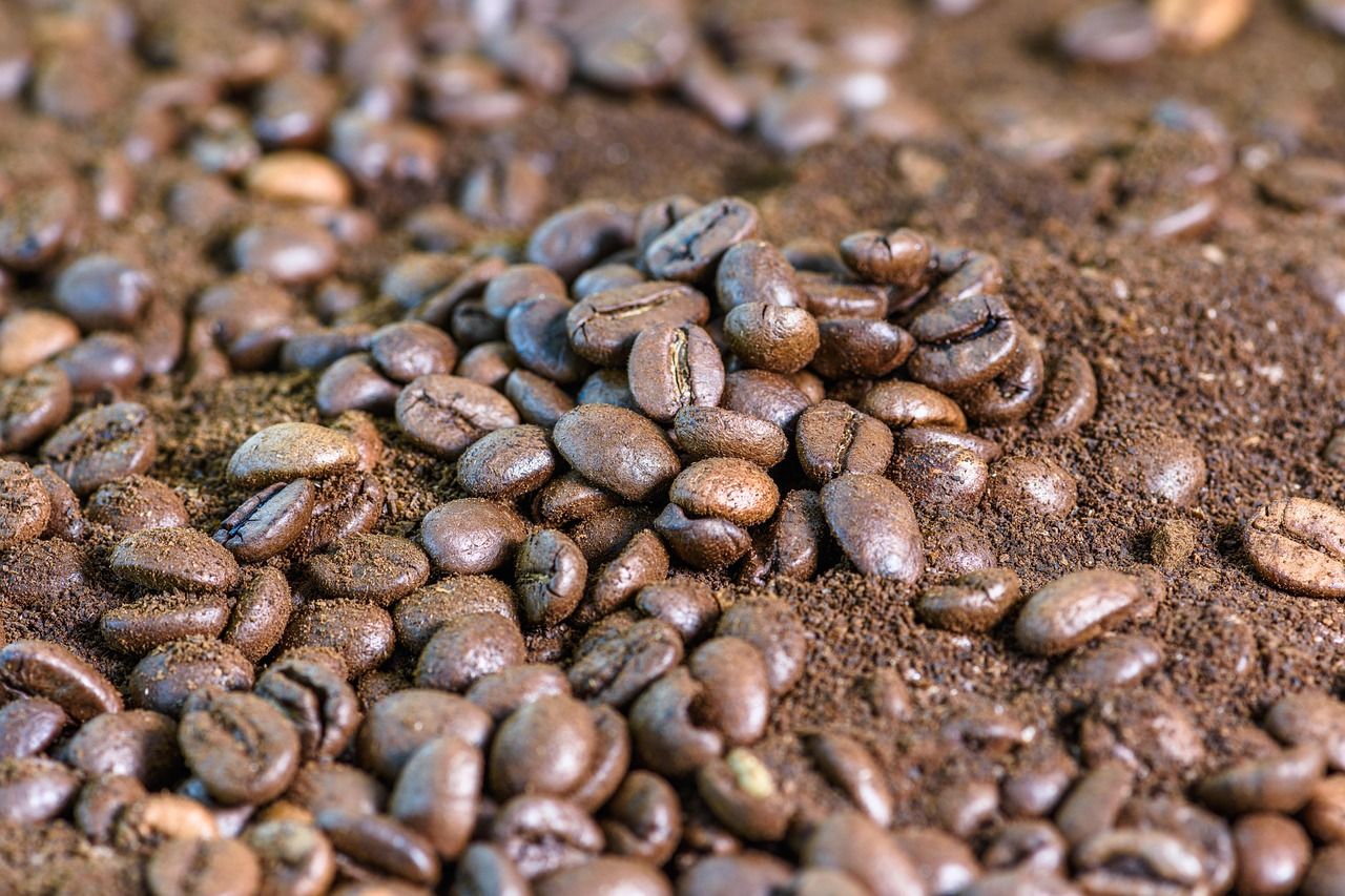 découvrez comment réutiliser les grains de café usagés pour vos plantes, dans la cuisine ou comme produit de beauté naturel.