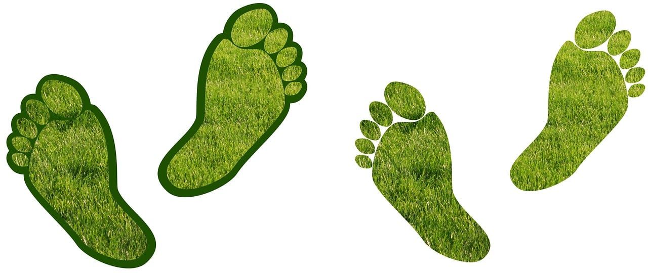 découvrez ce qu'est l'empreinte carbone, son impact sur l'environnement et comment la réduire pour un avenir plus durable.
