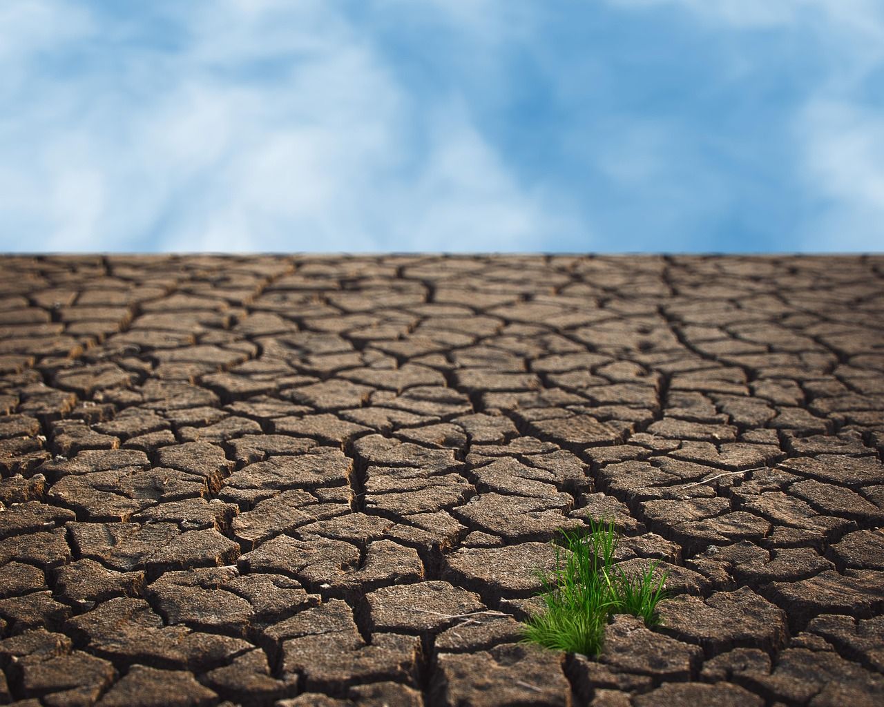 découvrez les enjeux et l'impact du changement climatique sur notre planète. explorez les causes, les conséquences et les solutions pour lutter contre cette crise environnementale mondiale.