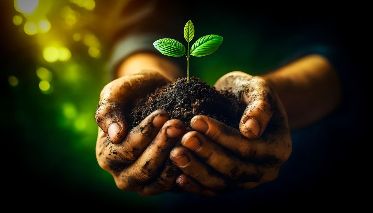 découvrez l'avenir écologique de la chine, ses défis environnementaux et les initiatives pour un développement durable.