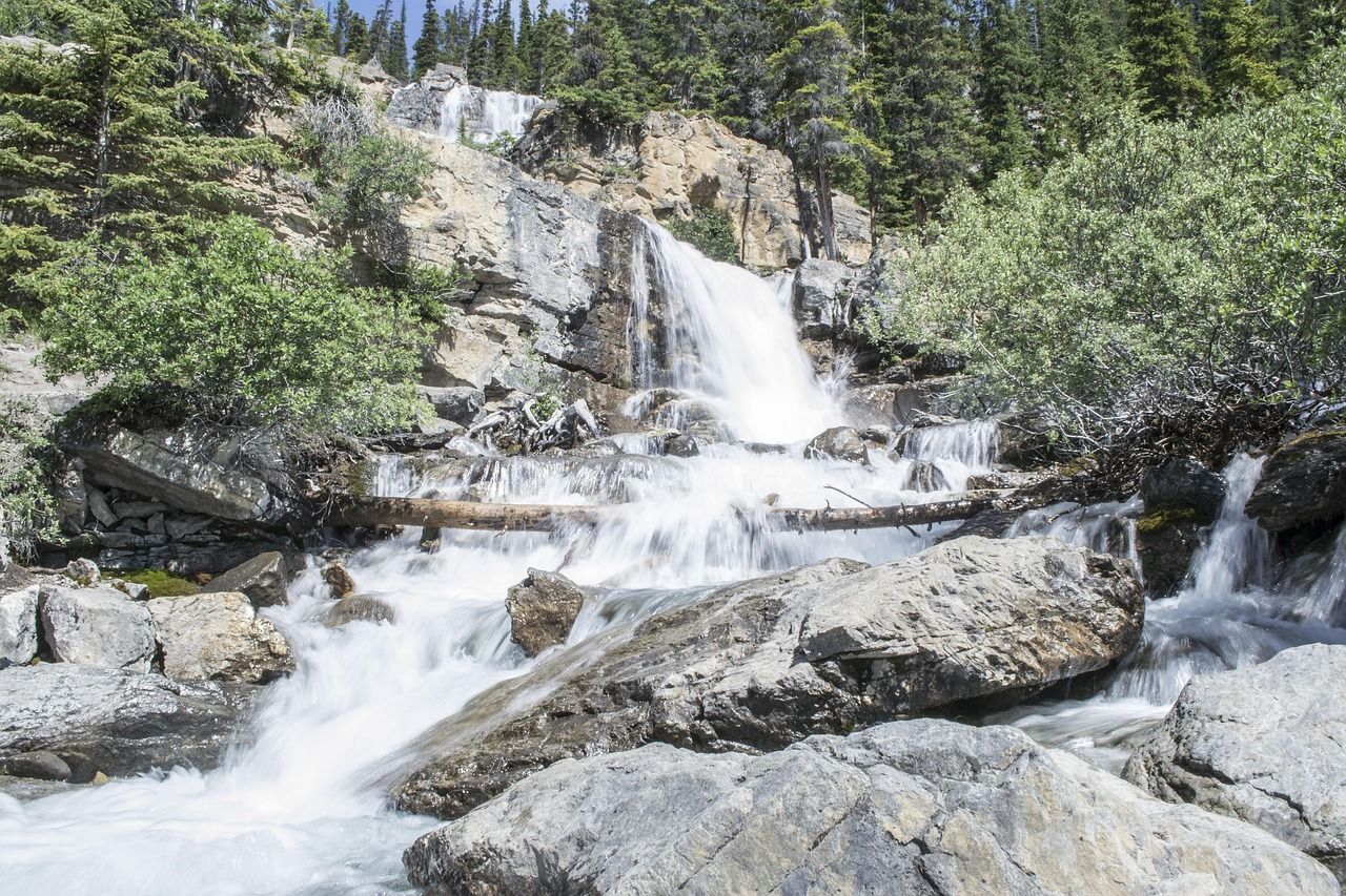 découvrez les défis majeurs liés au changement climatique et explorez les solutions pour un avenir durable.