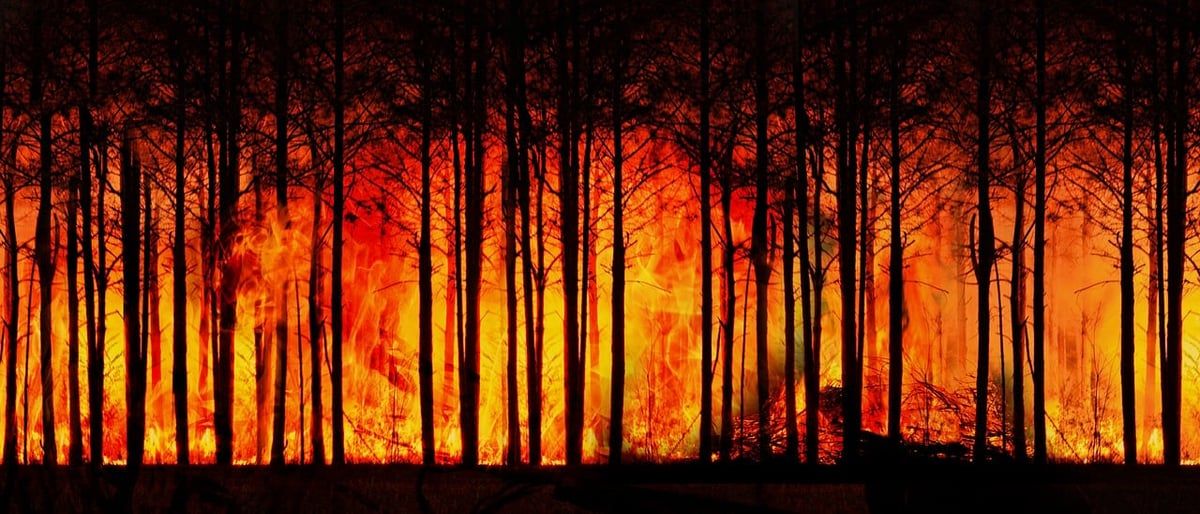 S’ajuster aux défis du changement climatique