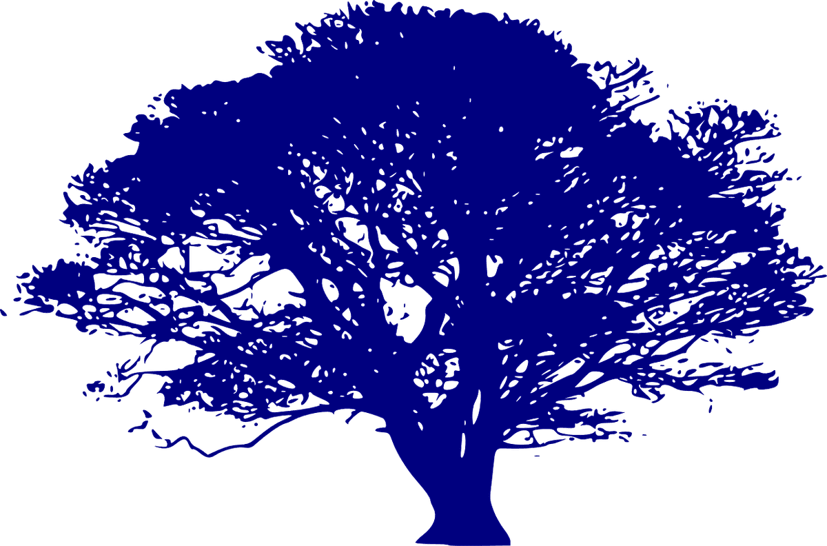 Optimiser la gestion des ressources pour un développement durable
