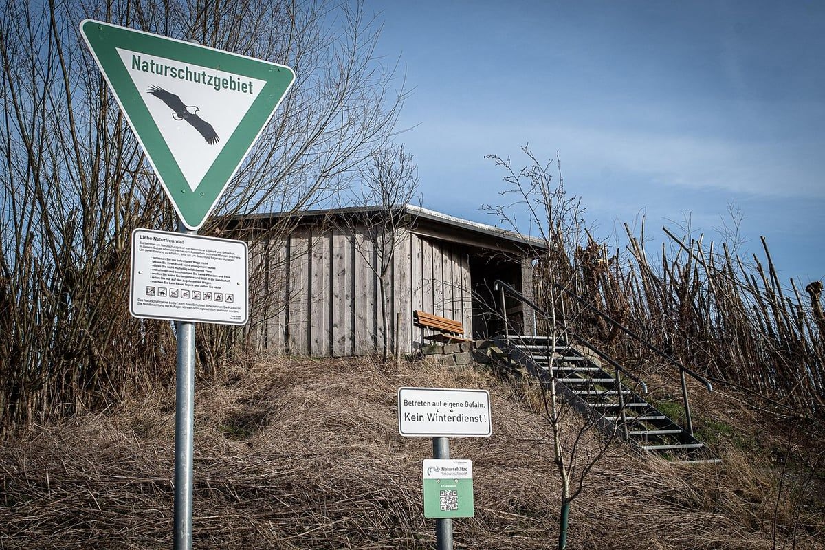 Green Afia Magazine : Placer l’éducation environnementale au cœur de sa mission – Entretien avec Hervé Mukulu