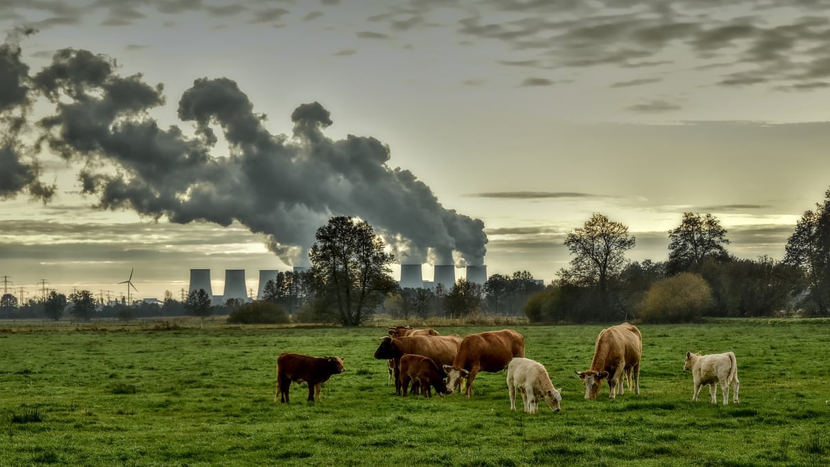 Agir face au réchauffement climatique : les actions concrètes des étudiants
