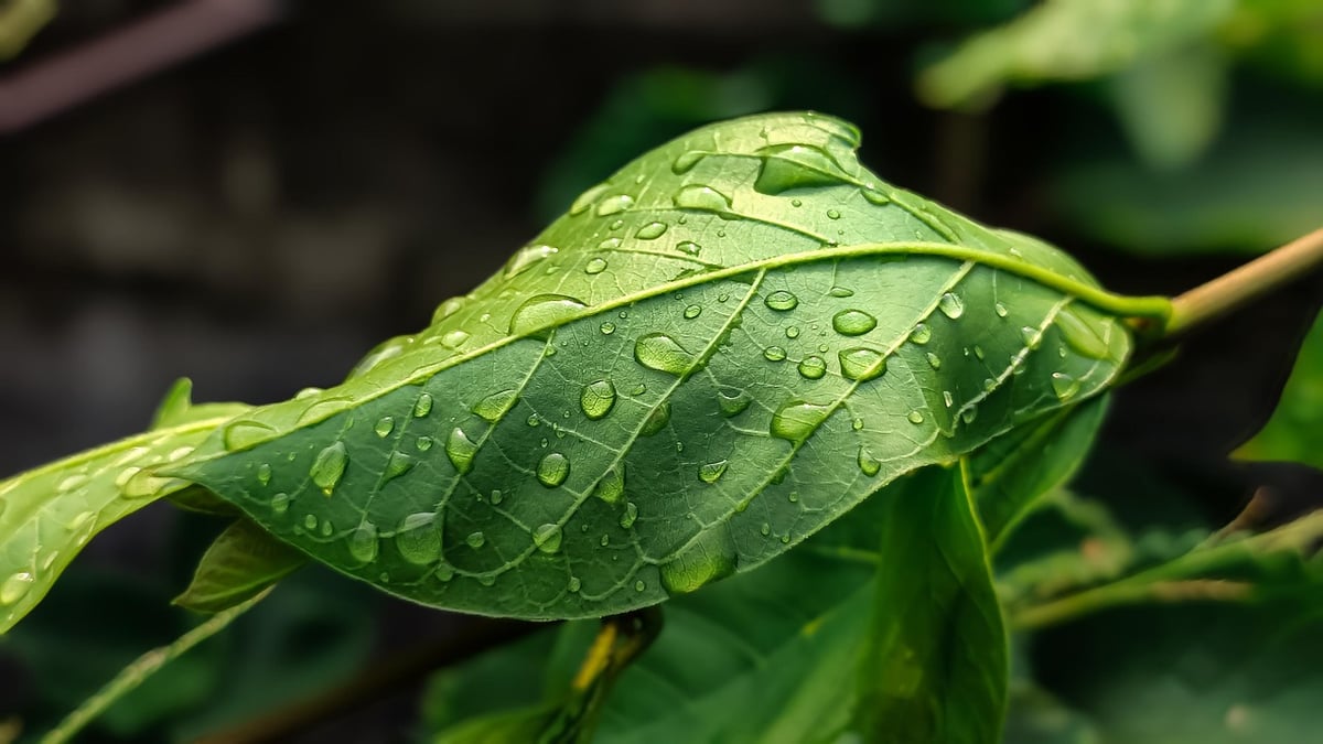 Comprendre les enjeux de la recherche climatique pour l’avenir de notre planète