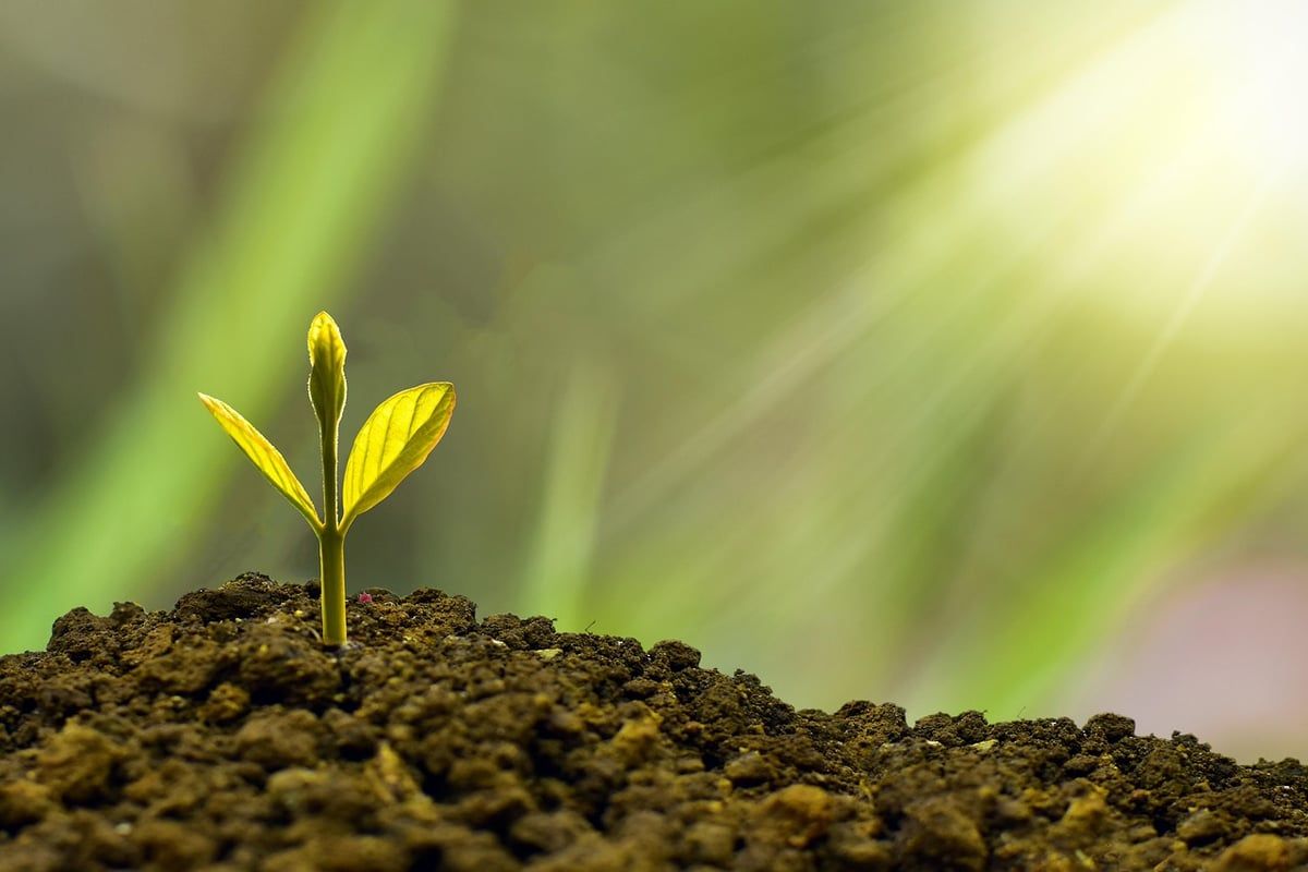 Investir 1 000 euros : allier performance financière et impact écologique pour un placement responsable