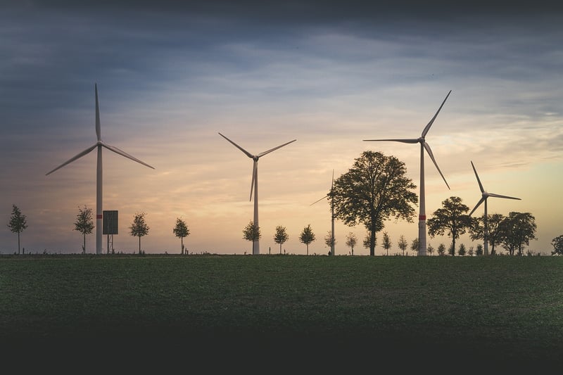 Spécialistes environnementaux : leur rôle crucial dans la protection de notre planète