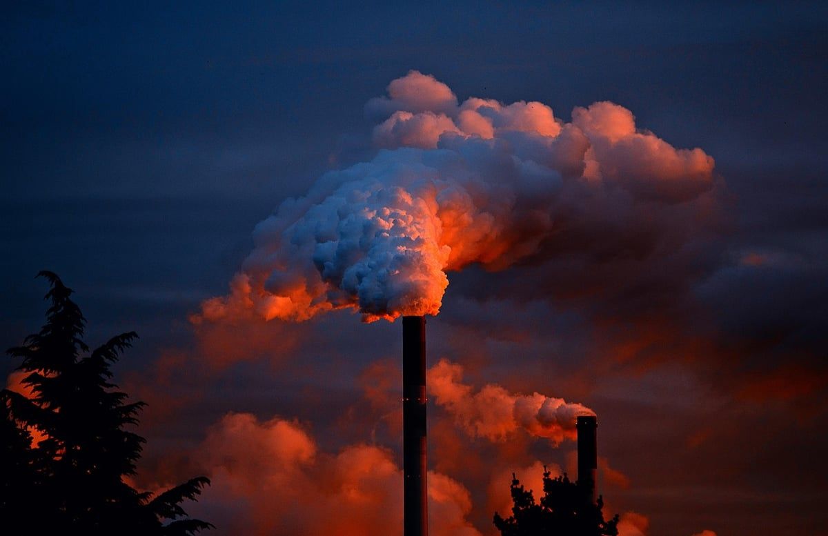 Fast fashion : comprendre son impact environnemental sur notre planète