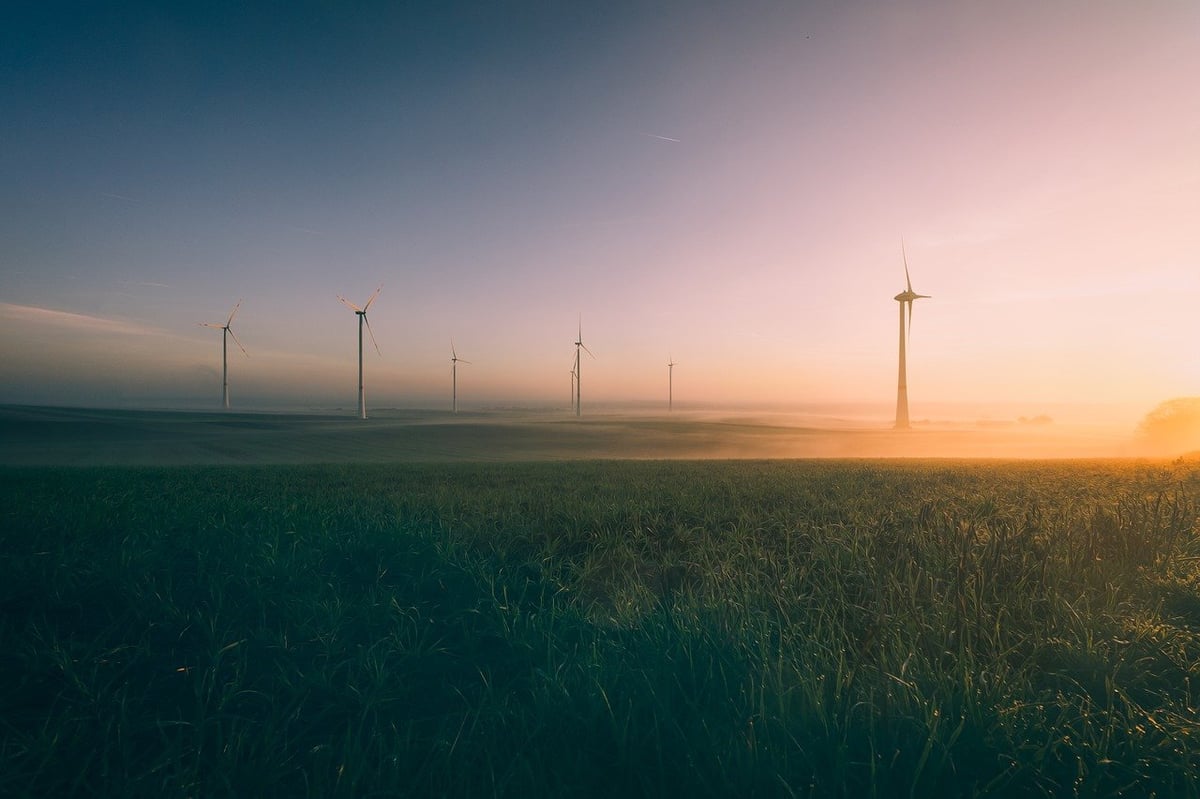 Les acteurs de l’environnement et du climat : découvrez les nominés qui brillent par leur engagement !