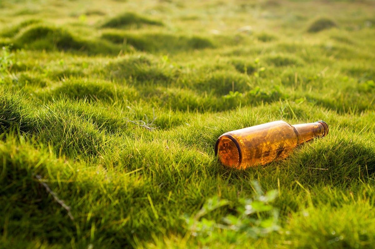 Adaptabilité environnementale : clés pour réussir dans un monde en mutation