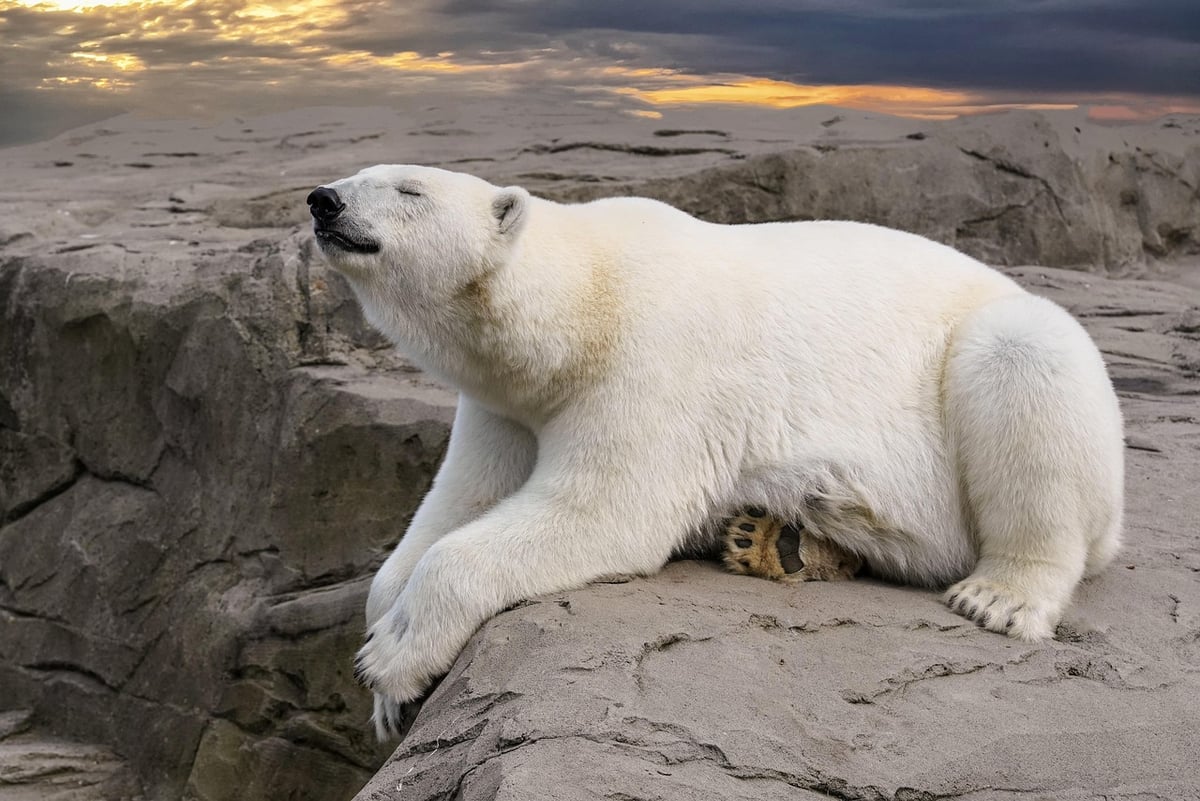 Ressources sur le climat : Où trouver des informations fiables et utiles ?