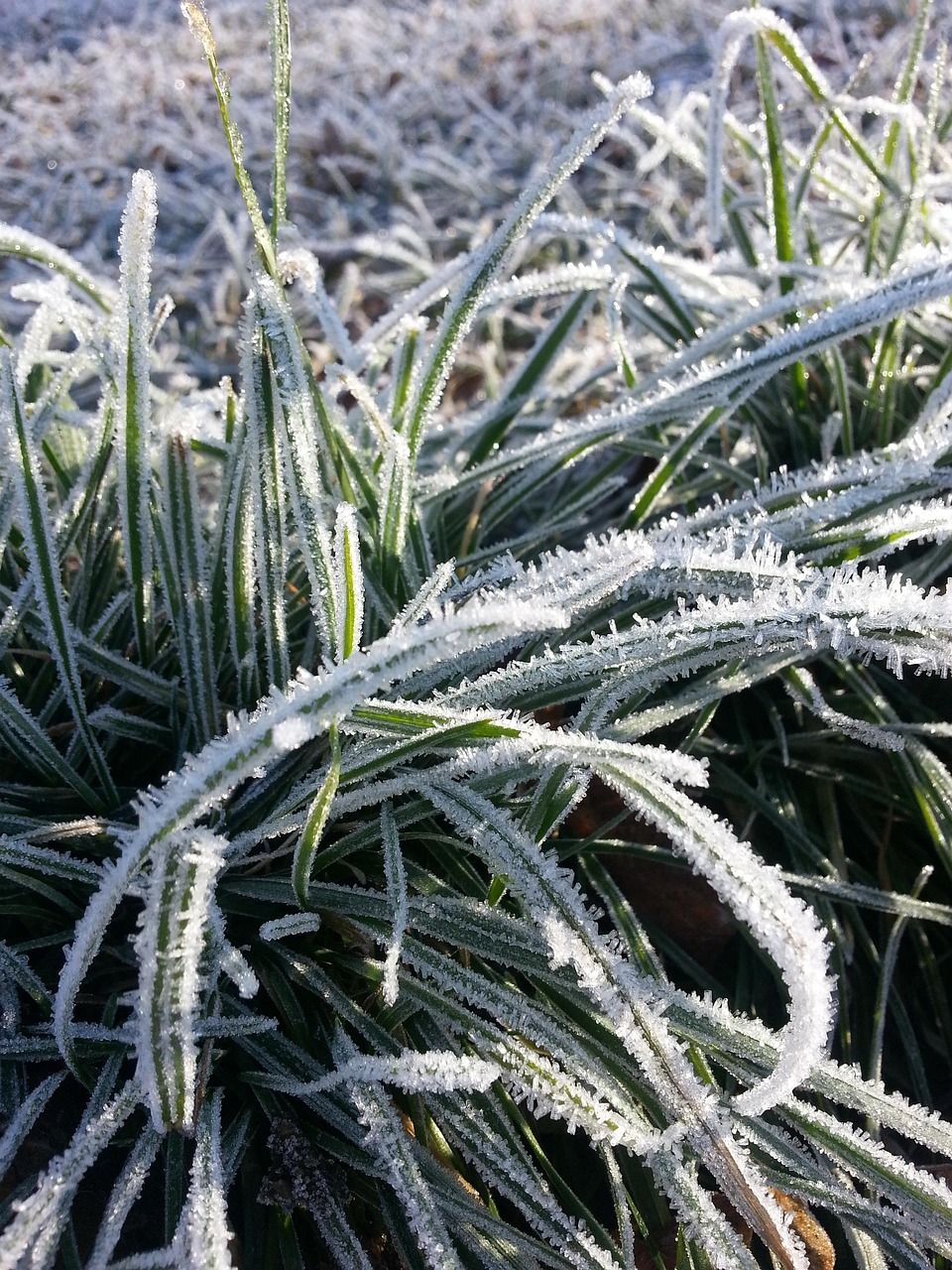 Agroécologie : Vers une agriculture respectueuse de l’environnement