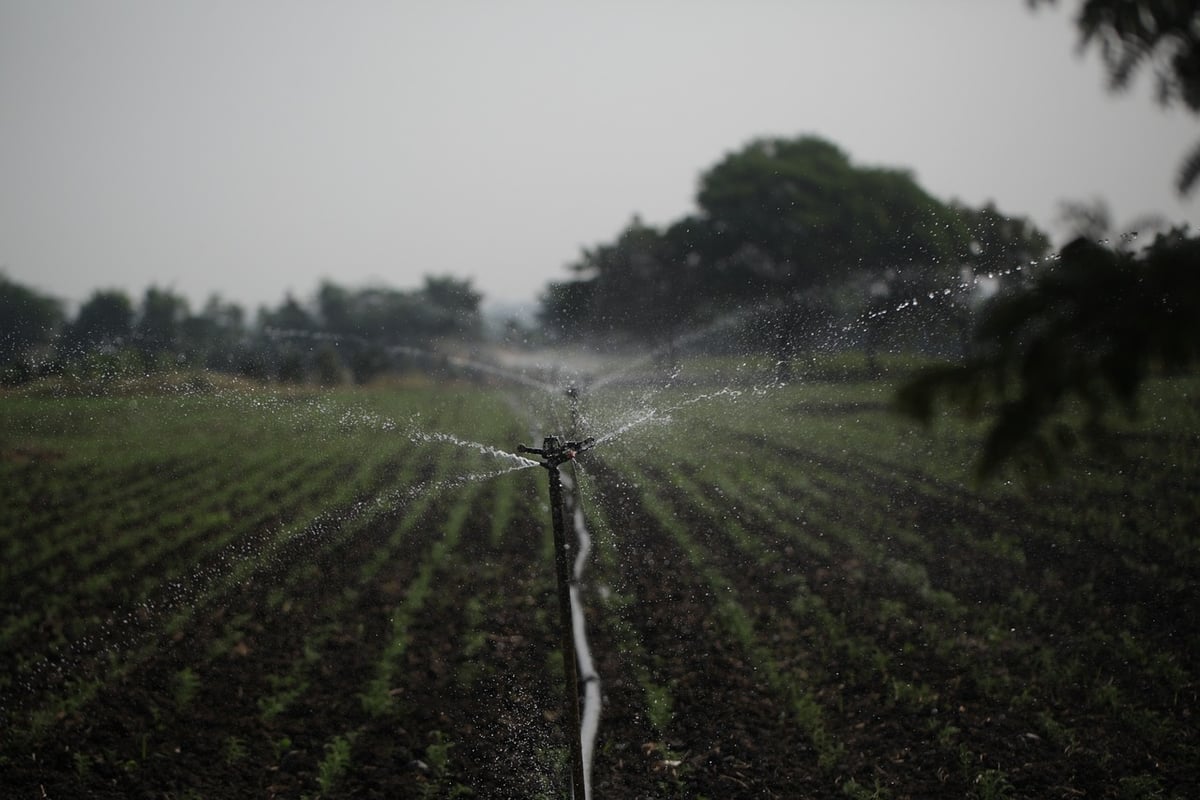 Pour un avenir durable : la gestion publique de l’eau face au climat et à la pollution