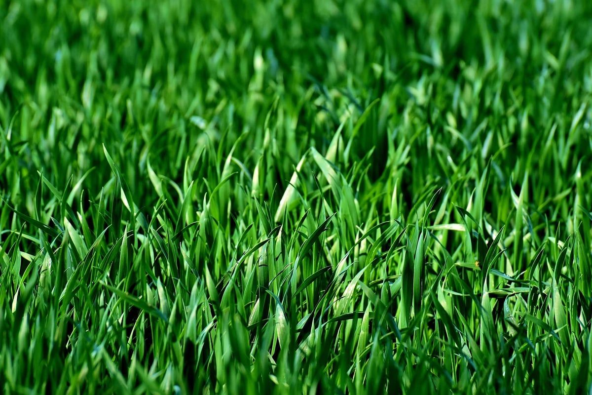 L’Abbaye de Roseland Métamorphosée en Institut d’Innovation Climatique