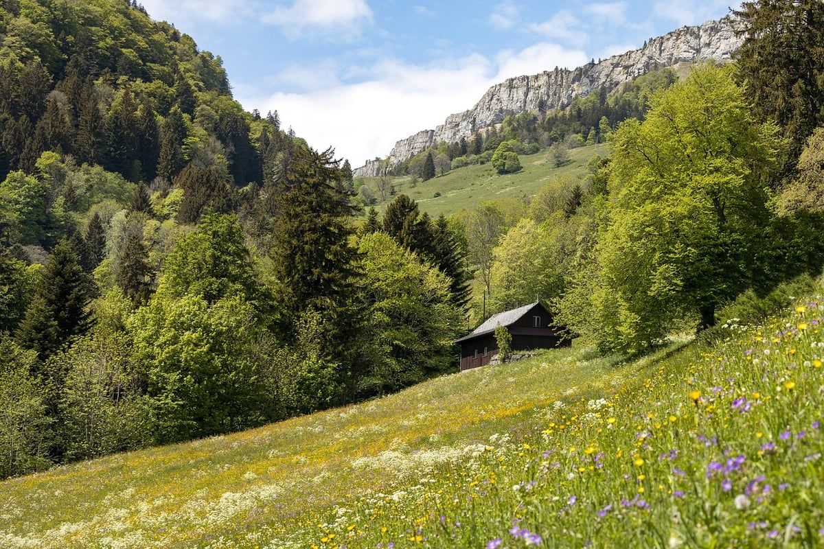 Les députés valident un texte innovant pour harmoniser le droit aux réalités montagnardes