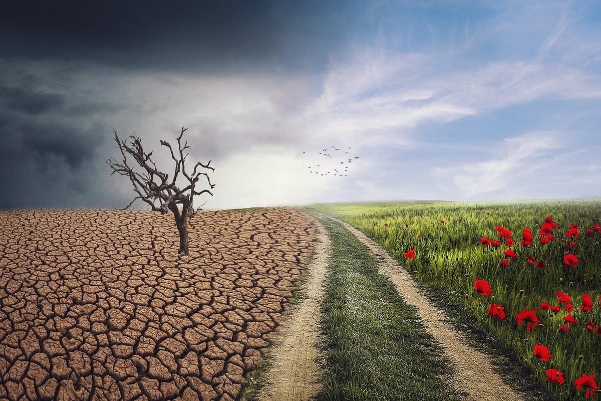Changement Climatique : L’OCDE Propose des Stratégies Innovantes pour la Gestion Durable de l’Eau en Île-de-France