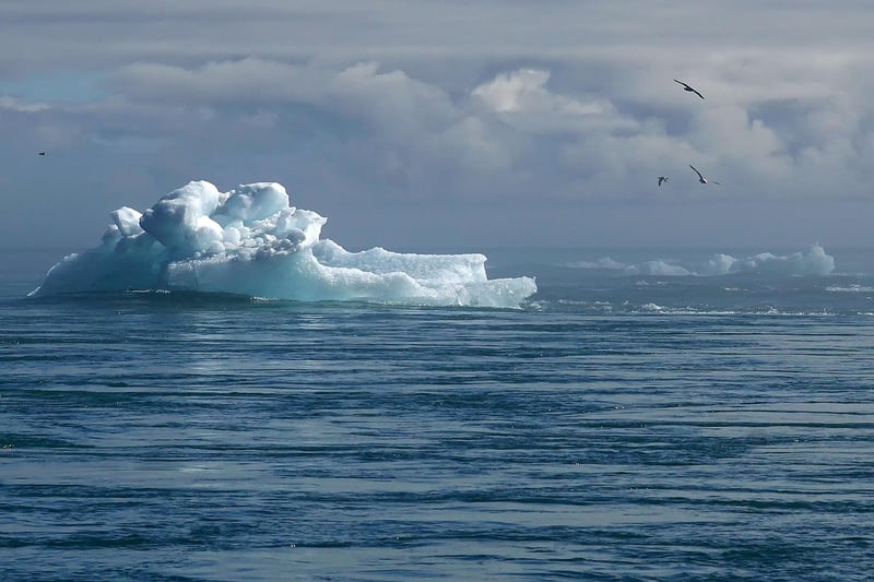 Réchauffement climatique : à quoi ressemblera notre planète si la température grimpe de 5 °C d’ici 2100 ?
