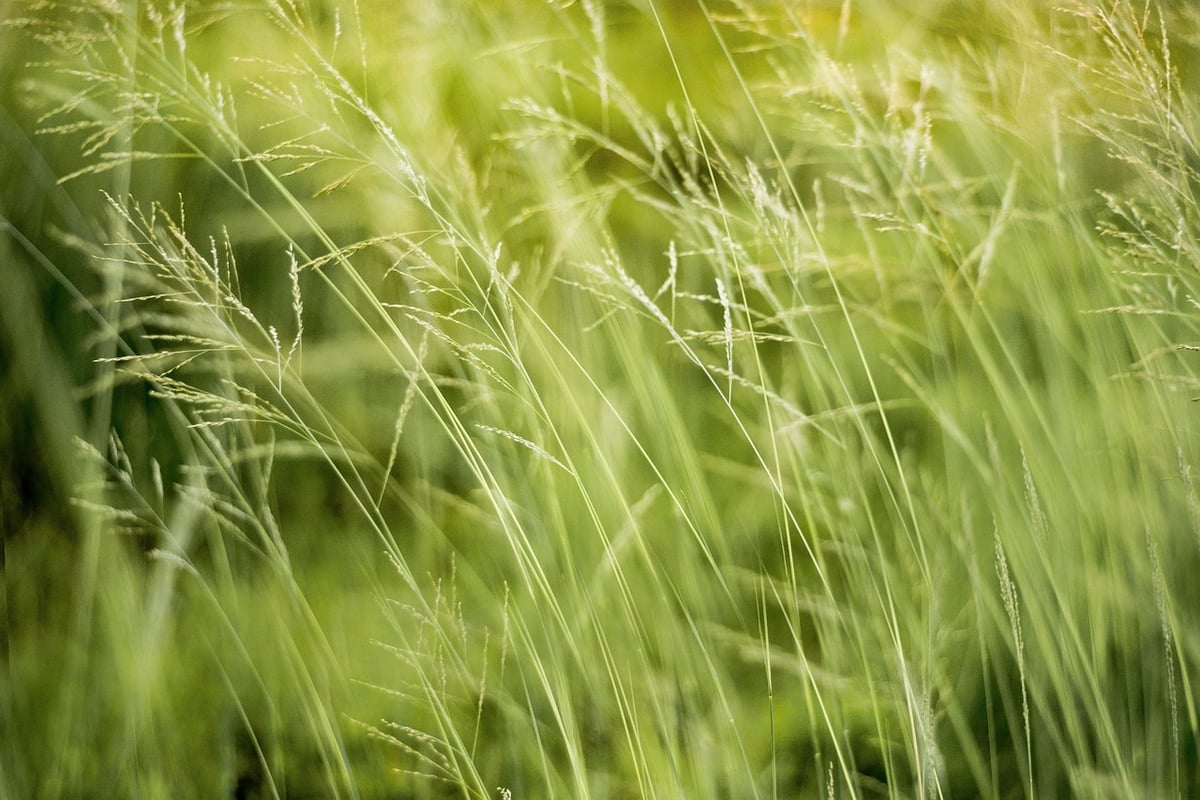 Les meilleures pratiques pour sauvegarder l’environnement