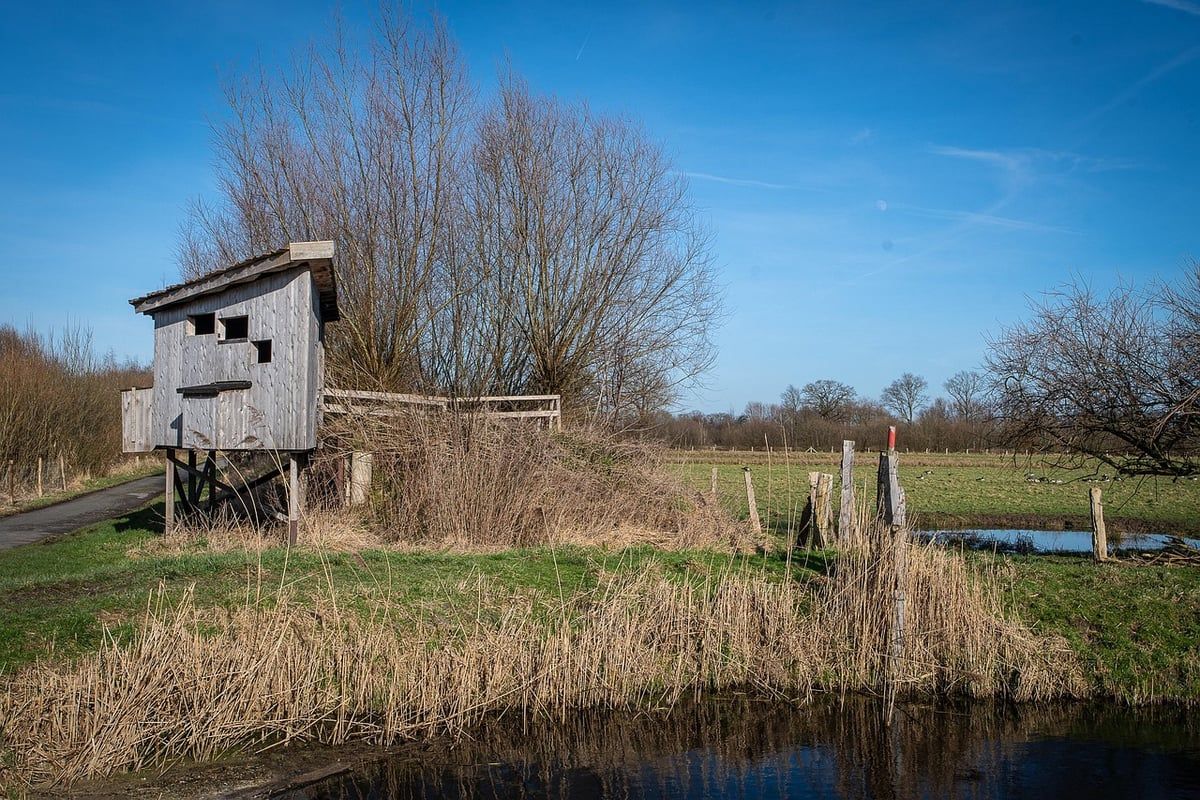 Jardin, mer et cité : quand l’éducation à l’environnement prend racine dans nos territoires