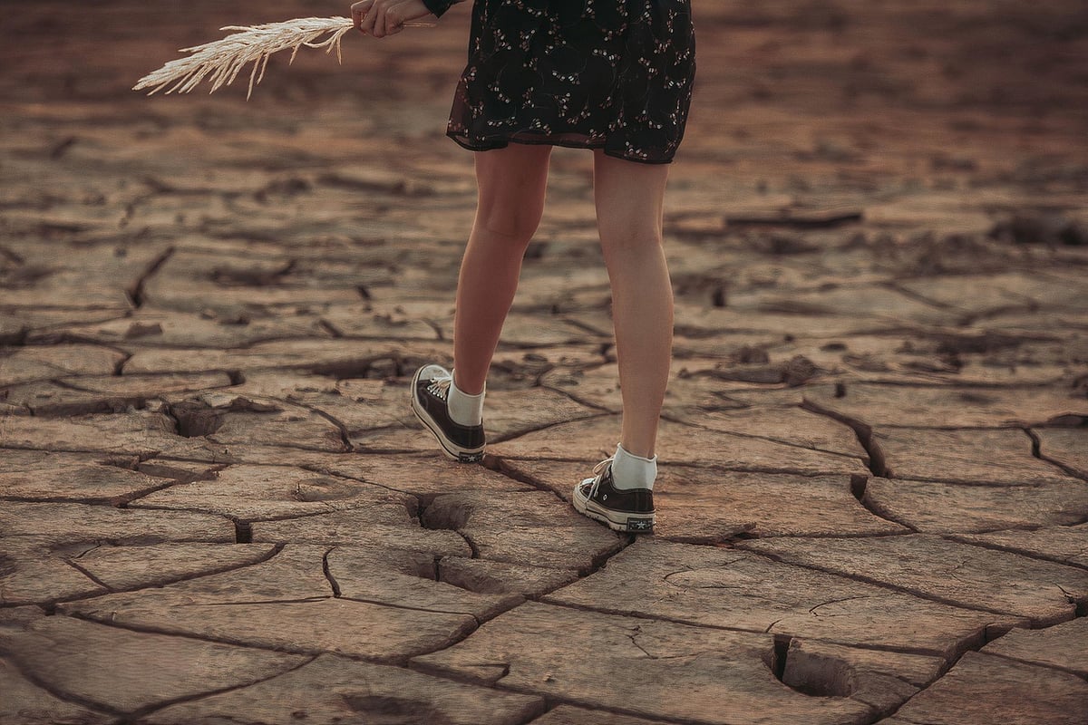 Comprendre les enjeux du réchauffement climatique : vers une action concrète après la sensibilisation