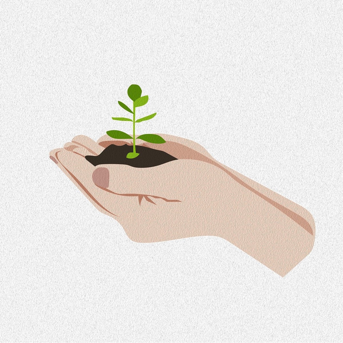 Protection des sols : Importance et méthodes pour préserver notre environnement