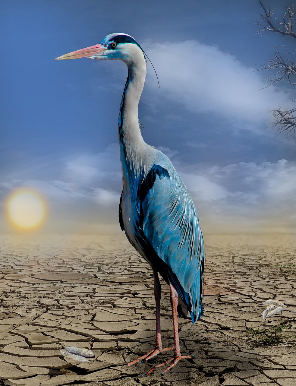 découvrez les causes, les conséquences et les solutions liées au changement climatique pour protéger notre planète et assurer un avenir durable.